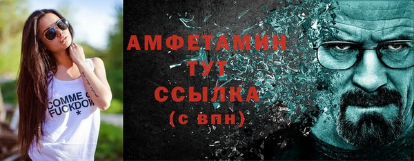 дмт Богданович