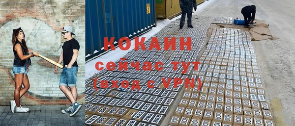 дмт Богданович