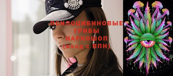 спиды Богородск