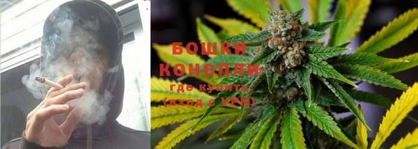 дмт Богданович
